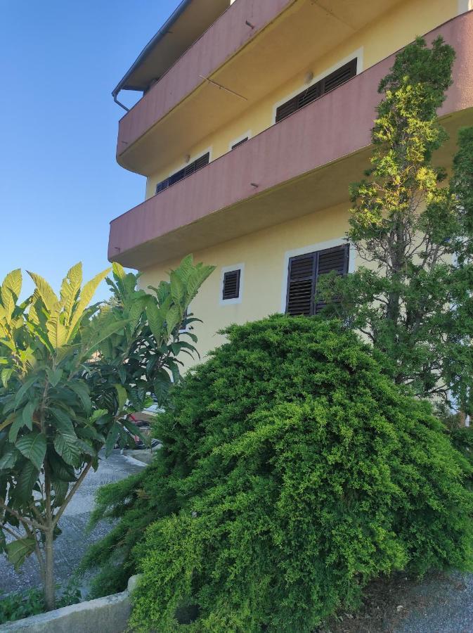 Racic Apartament